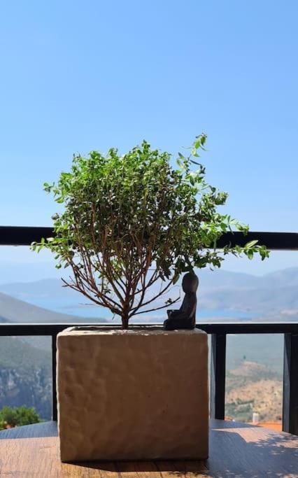 Apartmán 'Ηδιστον,Delphi Exteriér fotografie